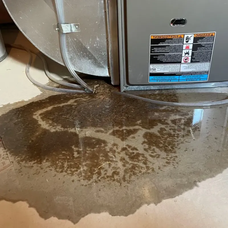 Pipe Burst and Leak Restoration in Suitland-Silver Hill, MD
